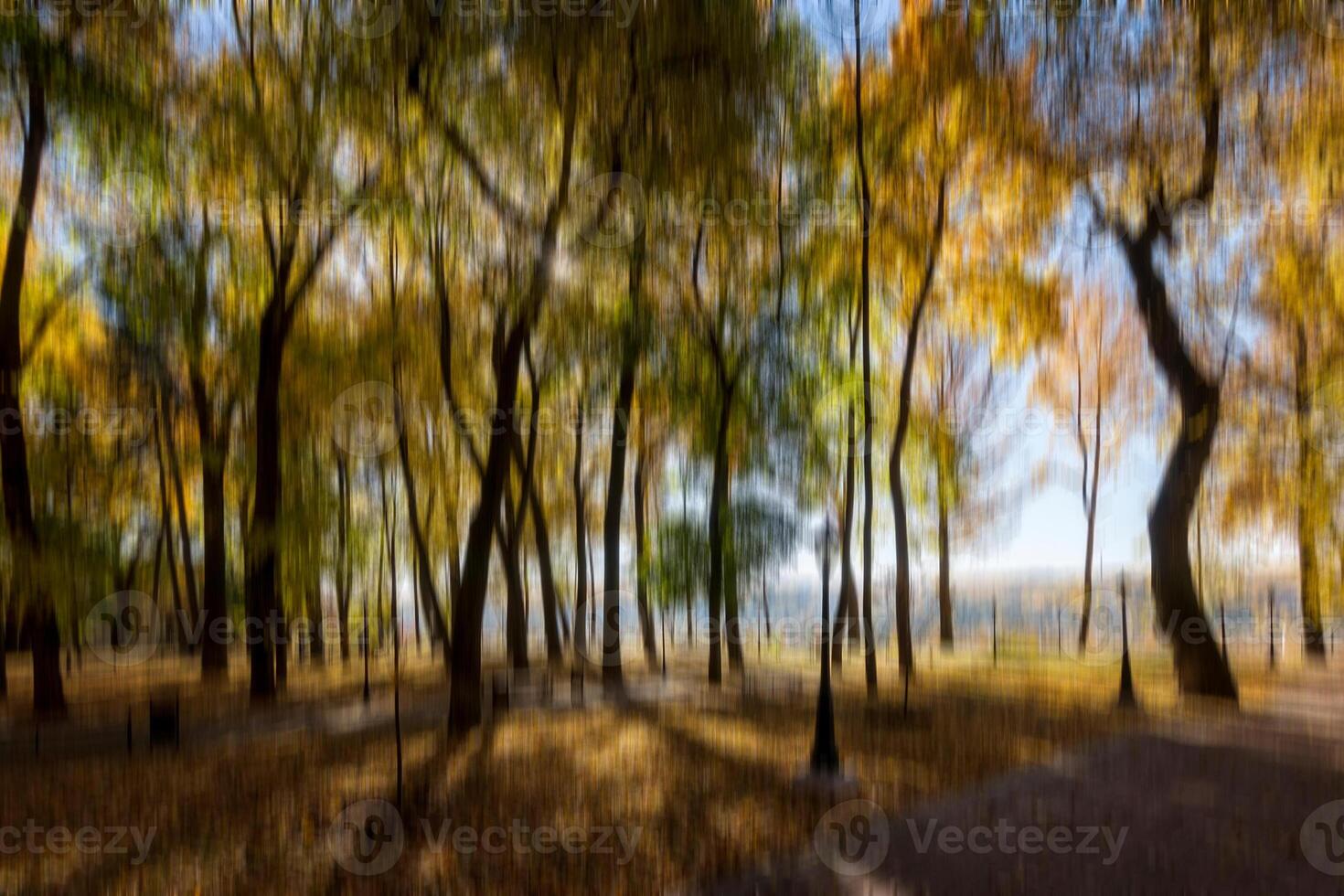Autumn park vertical motion blurr background. Fall season abstract. photo