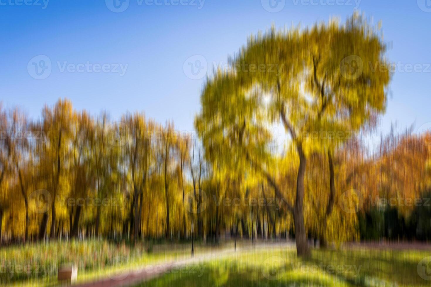 Autumn park vertical motion blurr background. Fall season abstract. photo
