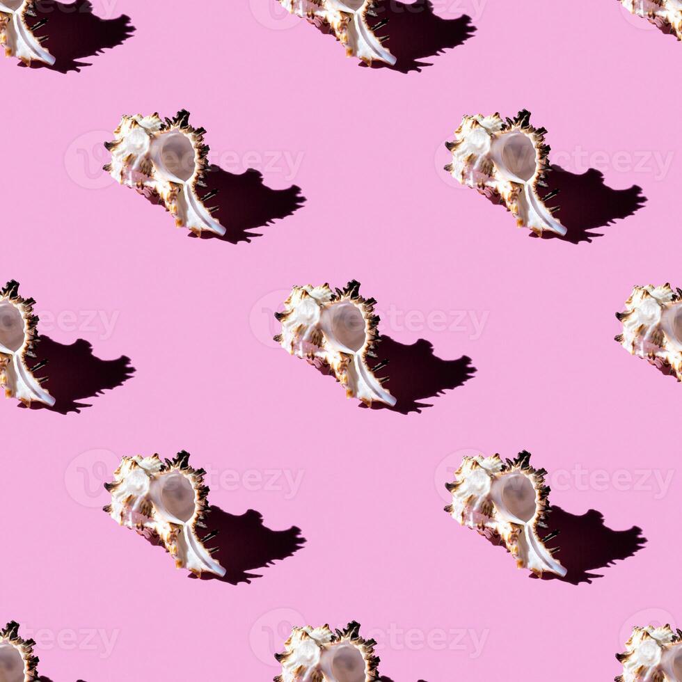 Seamless pattern of clam shells on a pastel background. photo