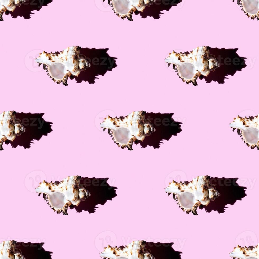 Seamless pattern of clam shells on a pastel pink background. photo