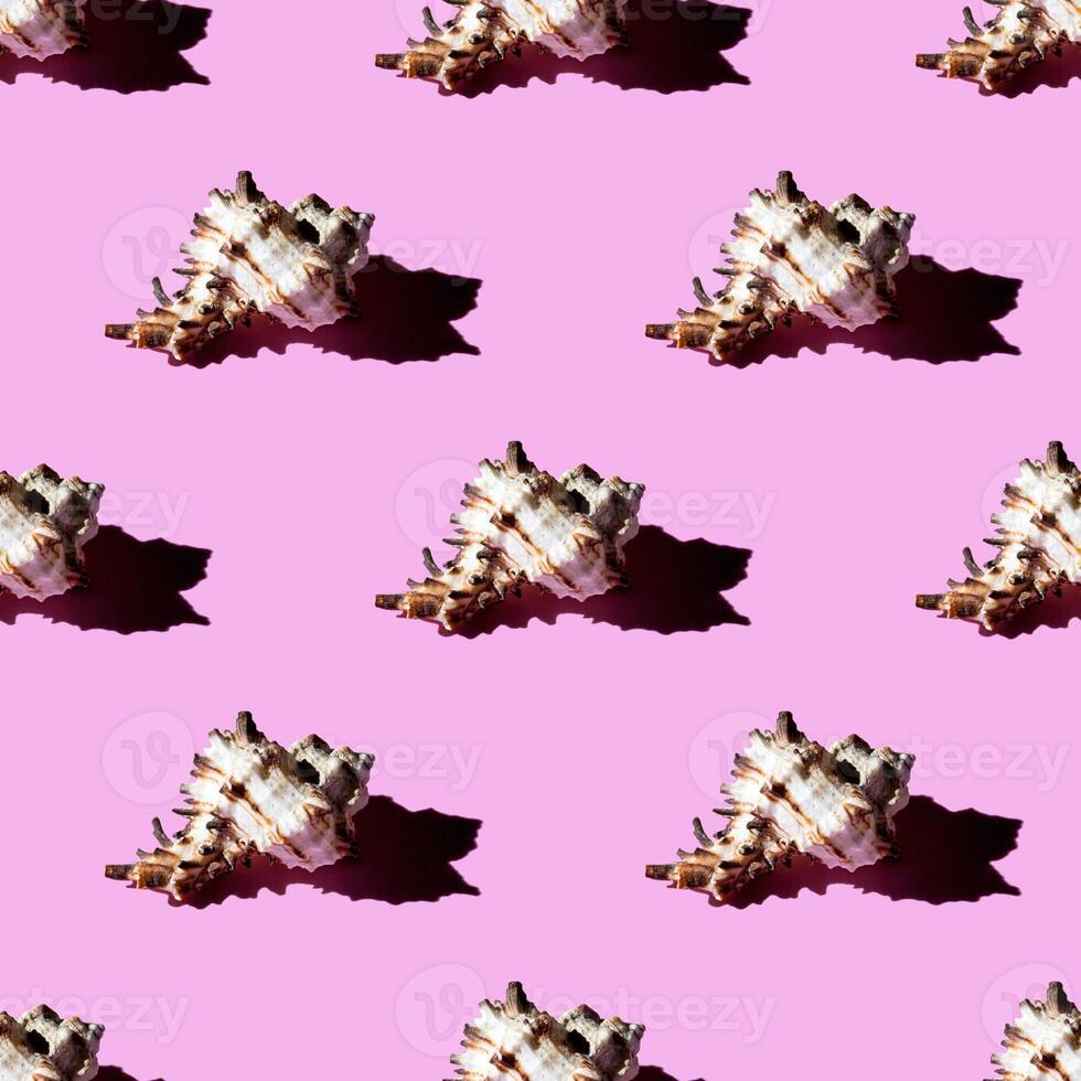 Seamless pattern of clam shells on a pastel background. photo