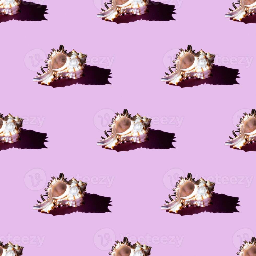Seamless pattern of clam shells on a pastel pink background. photo