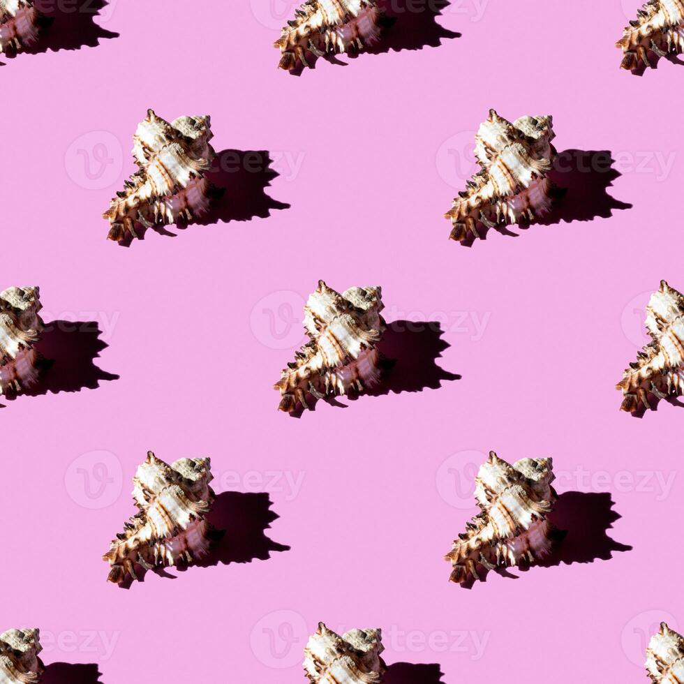 Seamless pattern of clam shells on a pastel background. photo