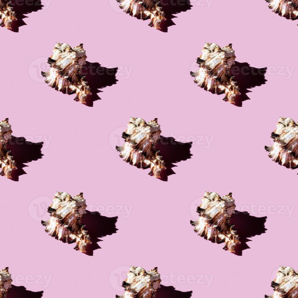 Seamless pattern of clam shells on a pastel pink background. photo