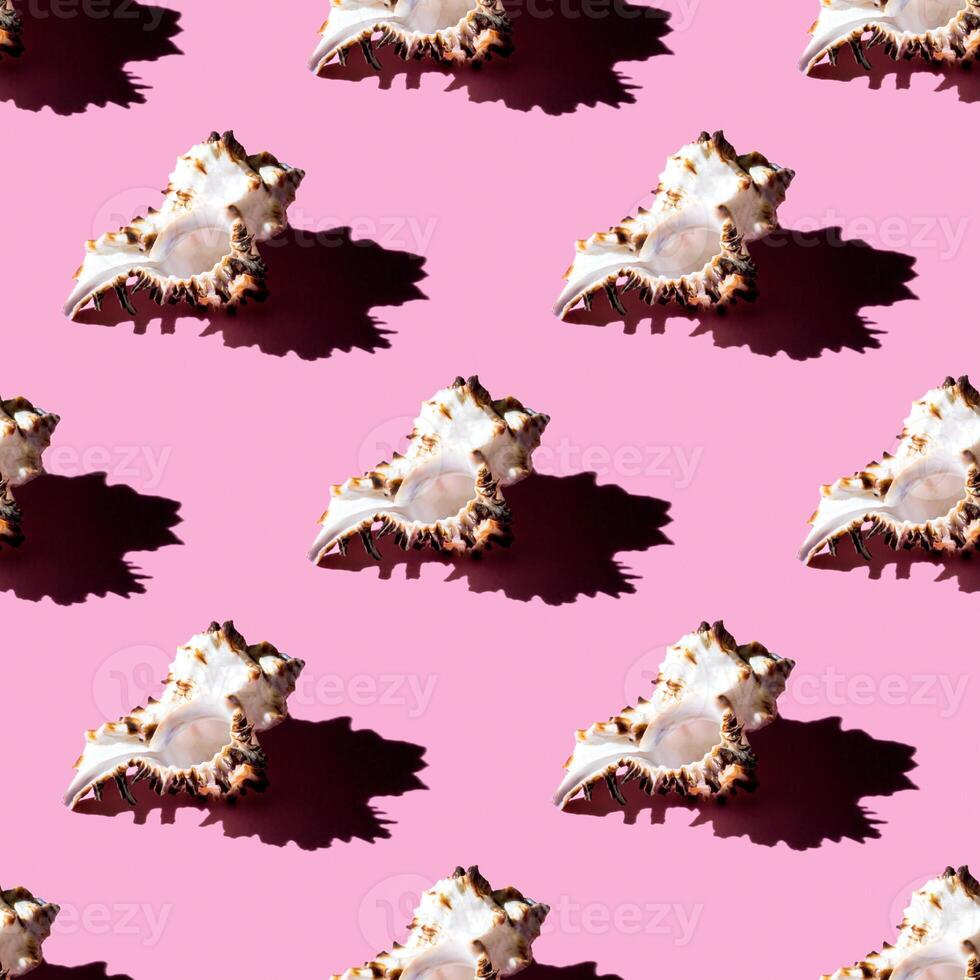 Seamless pattern of clam shells on a pastel background. photo