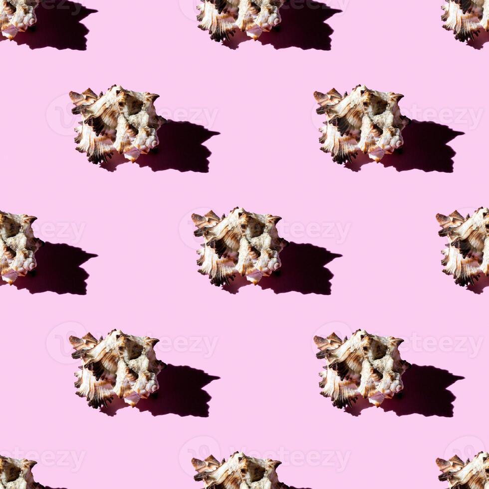 Seamless pattern of clam shells on a pastel pink background. photo