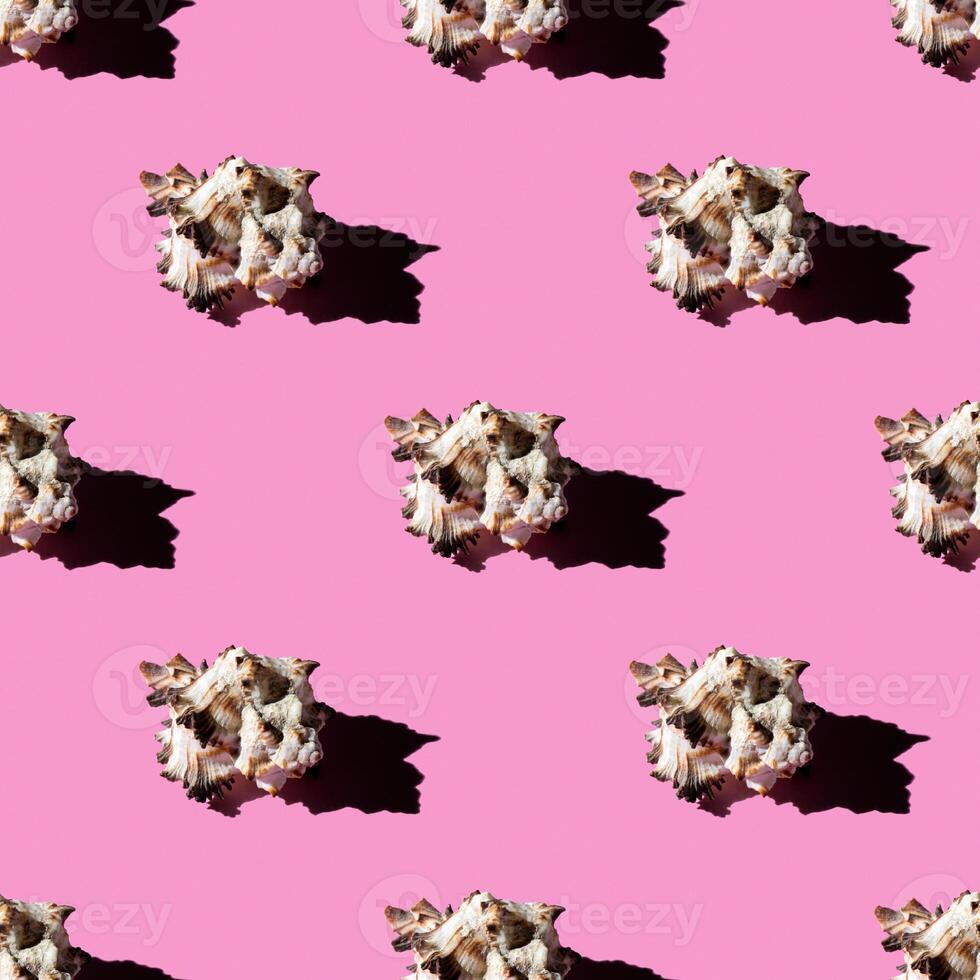Seamless pattern of clam shells on a pastel background. photo