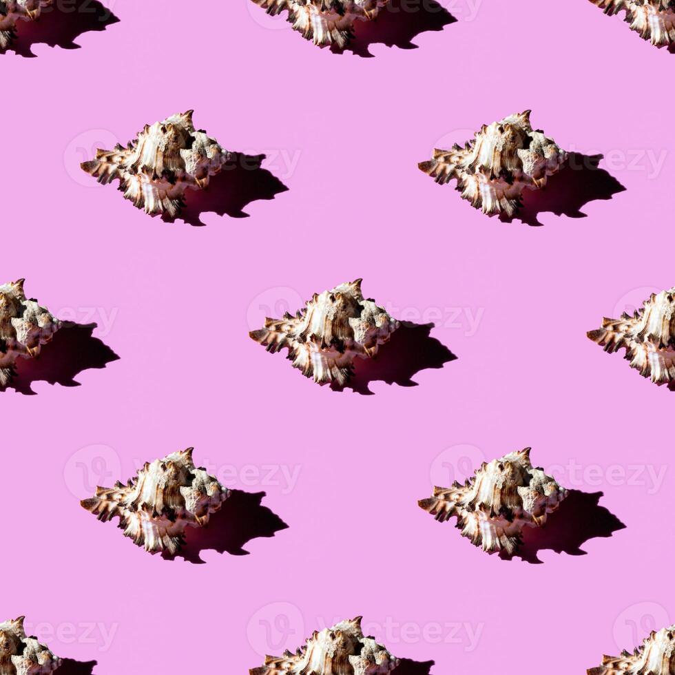 Seamless pattern of clam shells on a pastel background. photo