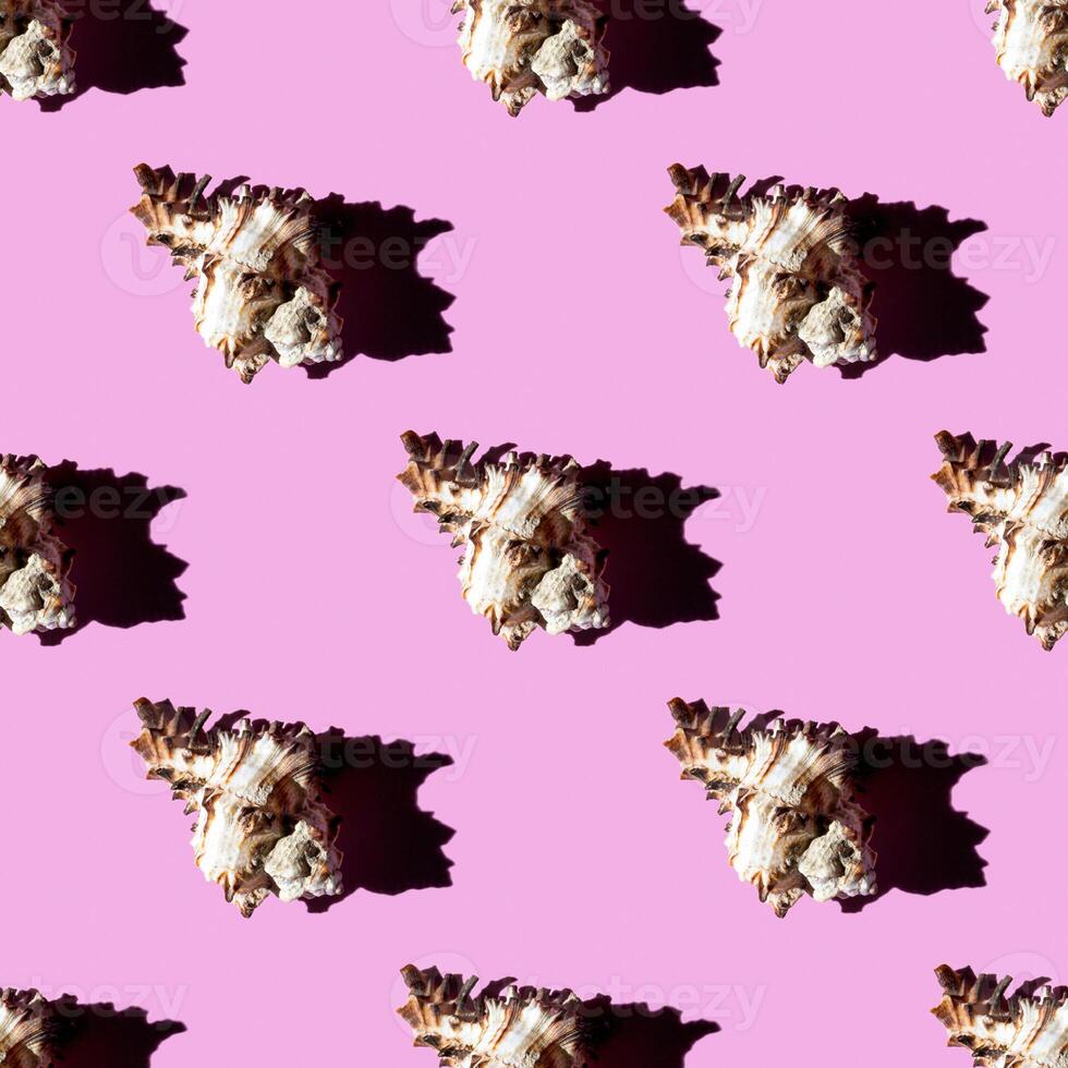 Seamless pattern of clam shells on a pastel background. photo