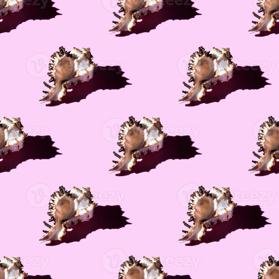Seamless pattern of clam shells on a pastel pink background. photo