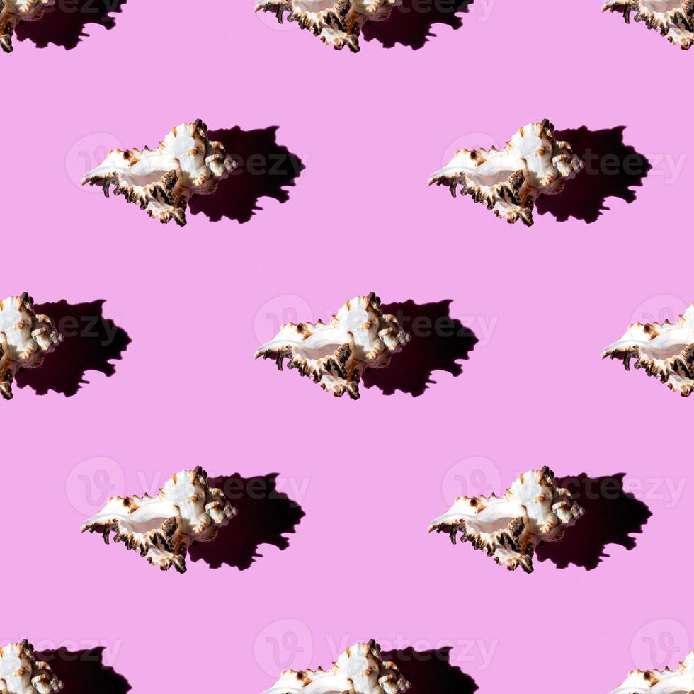 Seamless pattern of clam shells on a pastel background. photo