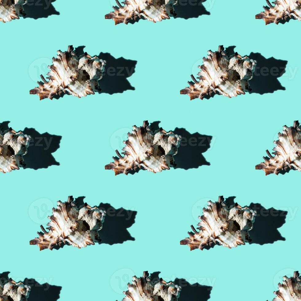 Seamless pattern of clam shells on a cyan background. photo