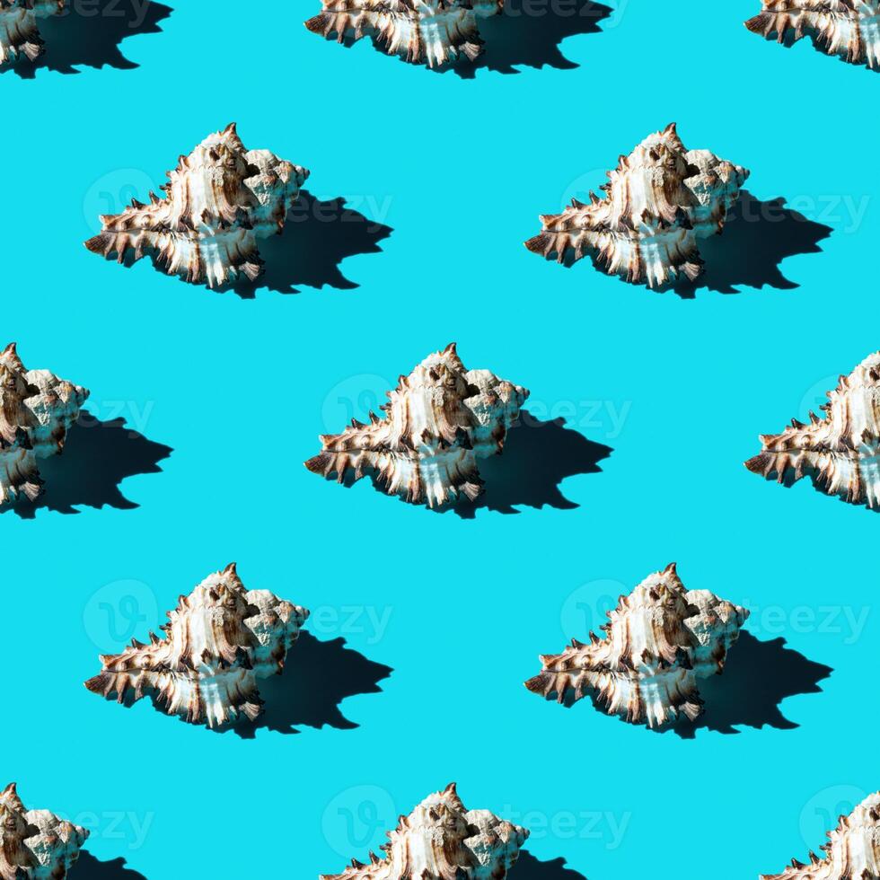 Seamless pattern of clam shells on a cyan background. photo