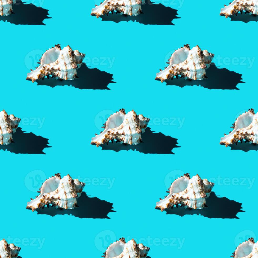 Seamless pattern of clam shells on a cyan background. photo