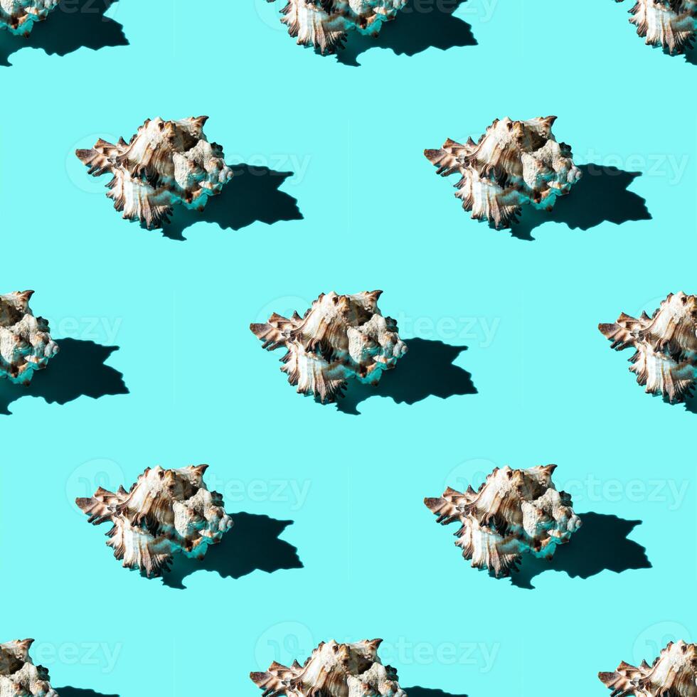 Seamless pattern of clam shells on a cyan background. photo