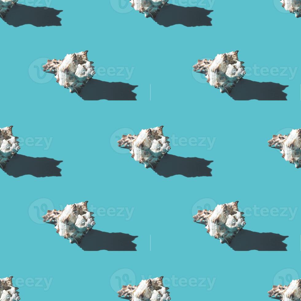 Seamless pattern of clam shells on a cyan background. photo