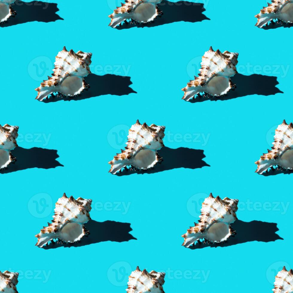 Seamless pattern of clam shells on a cyan background. photo