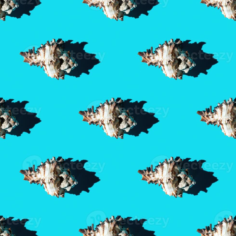 Seamless pattern of clam shells on a cyan background. photo