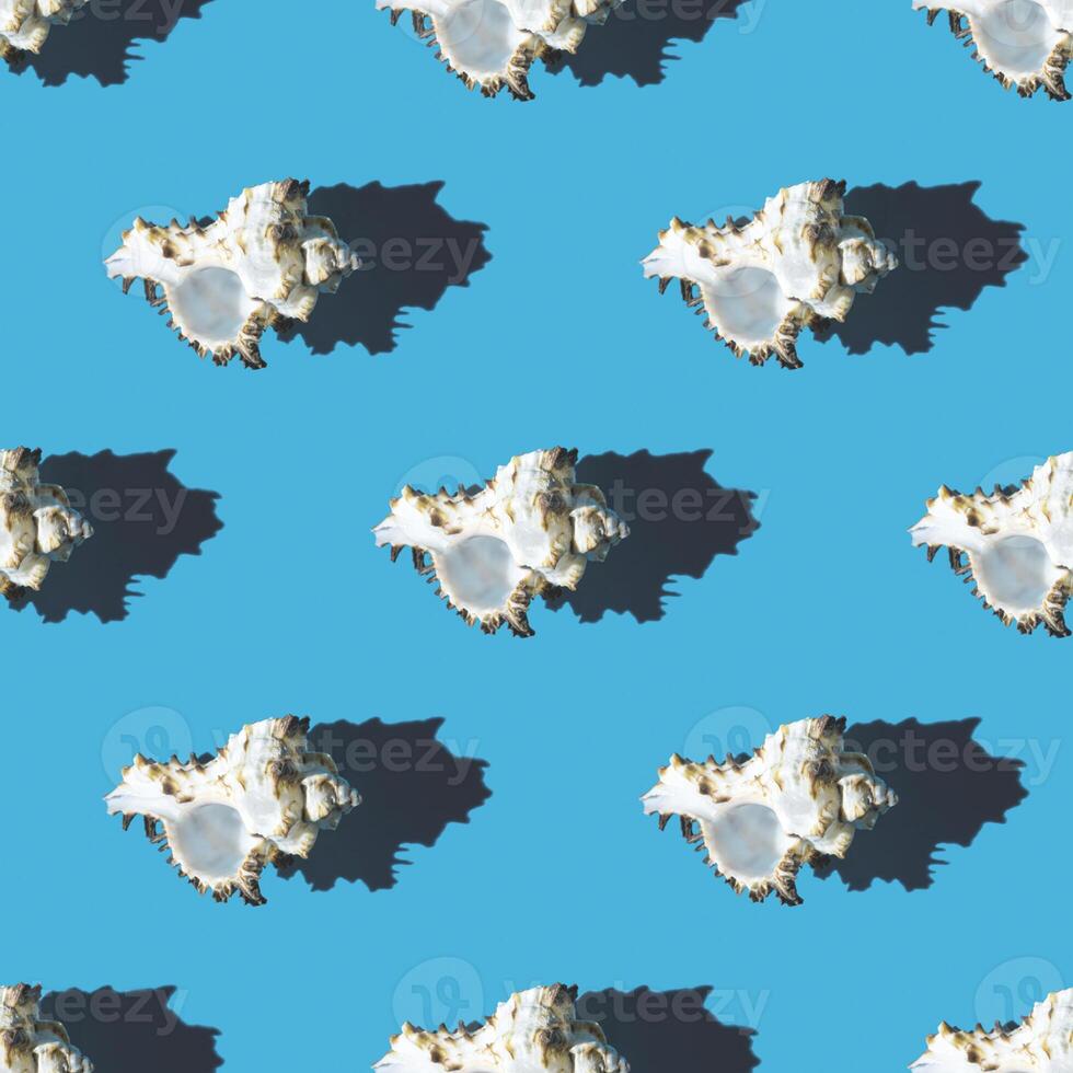 Seamless pattern of clam shells on a blue background. photo