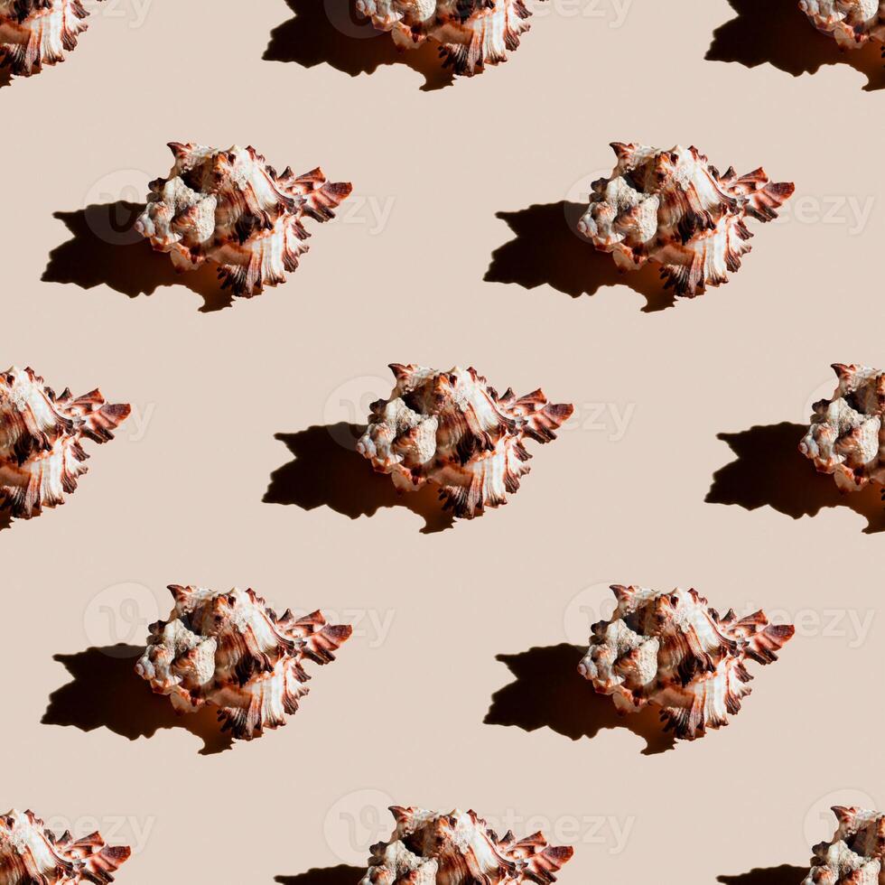 Seamless pattern of clam shells on a pastel orange background. photo