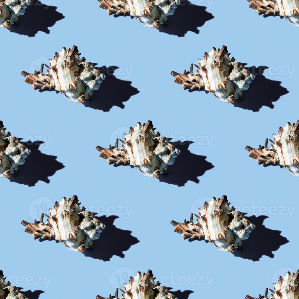Seamless pattern of clam shells on a blue background. photo