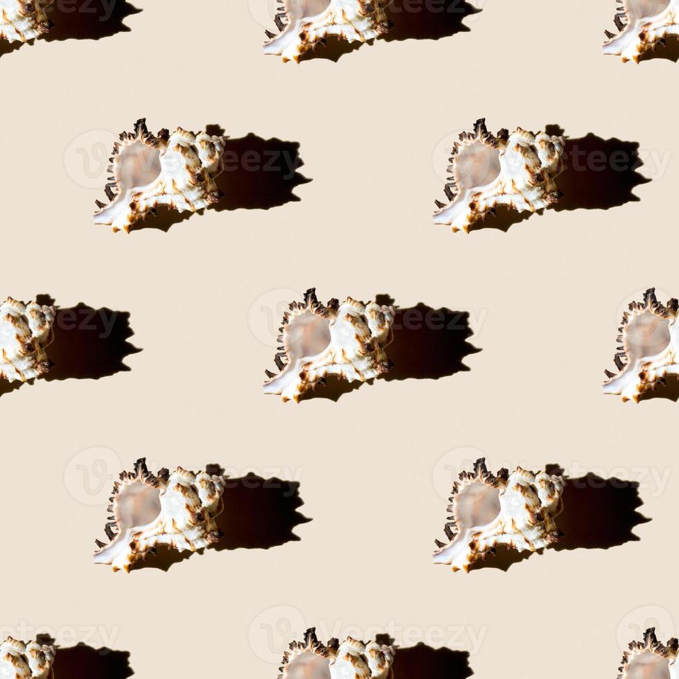 Seamless pattern of clam shells on a pastel yellow background. photo
