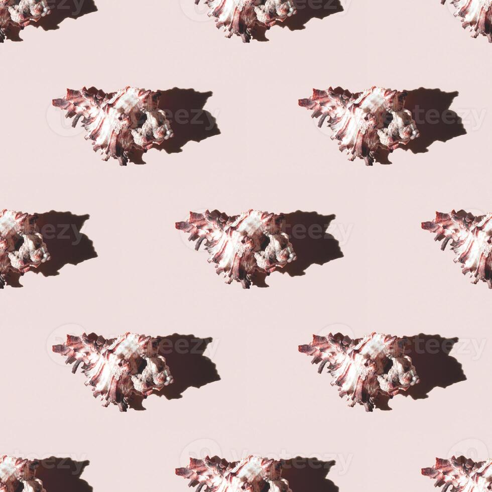 Seamless pattern of clam shells on a pastel yellow background. photo