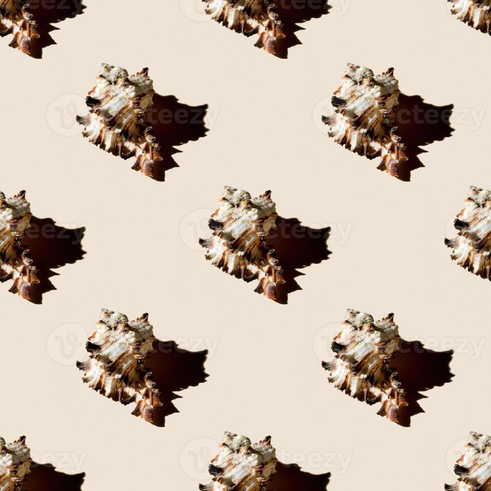 Seamless pattern of clam shells on a pastel yellow background. photo