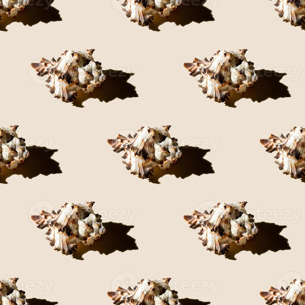 Seamless pattern of clam shells on a pastel yellow background. photo