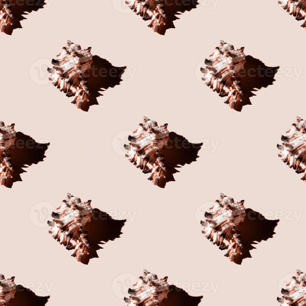 Seamless pattern of clam shells on a pastel yellow background. photo