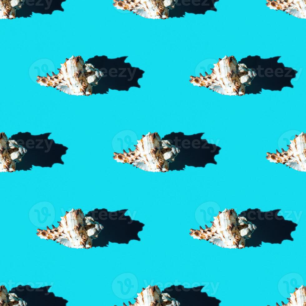 Seamless pattern of clam shells on a cyan background. photo
