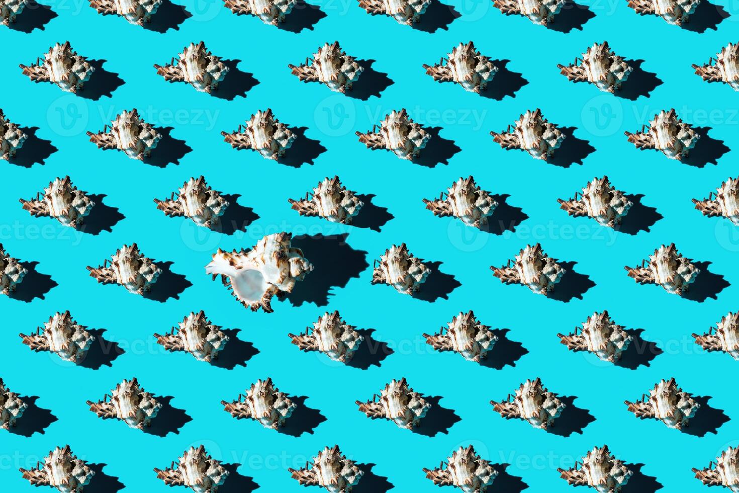 Pattern of clam shells on a cyan background. photo