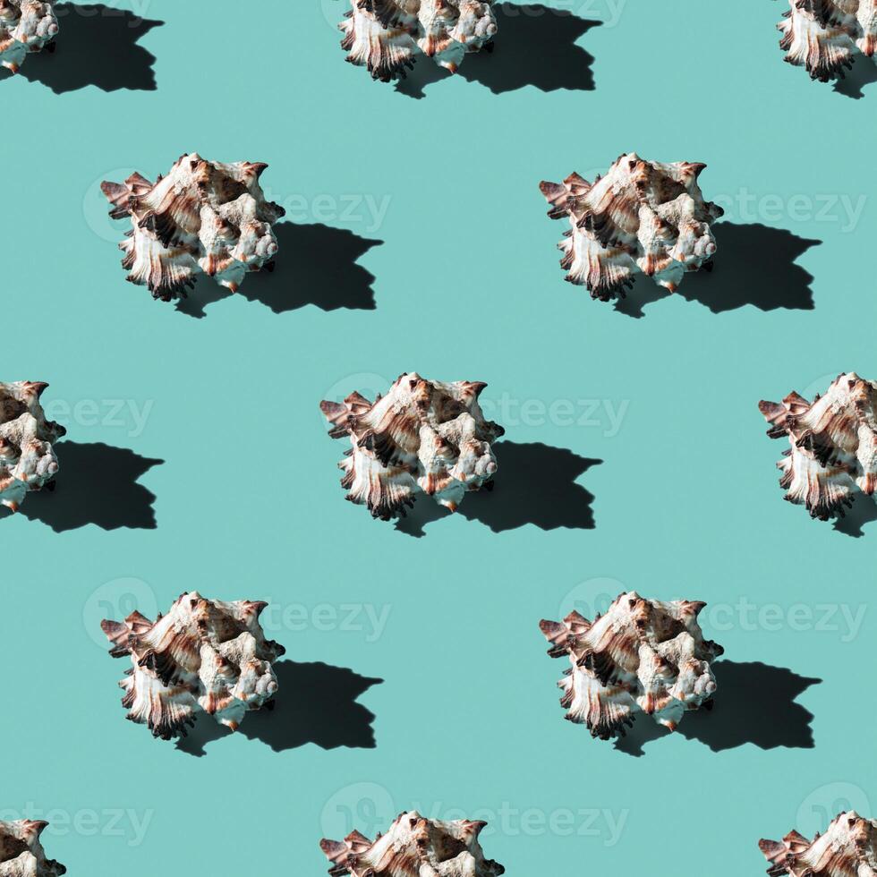 Seamless pattern of clam shells on a blue background. photo