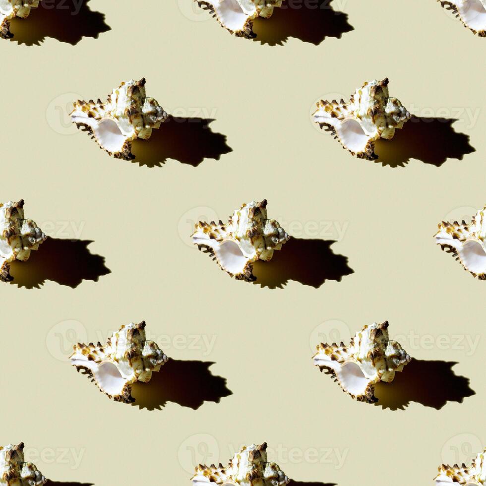 Seamless pattern of clam shells on a pastel yellow background. photo