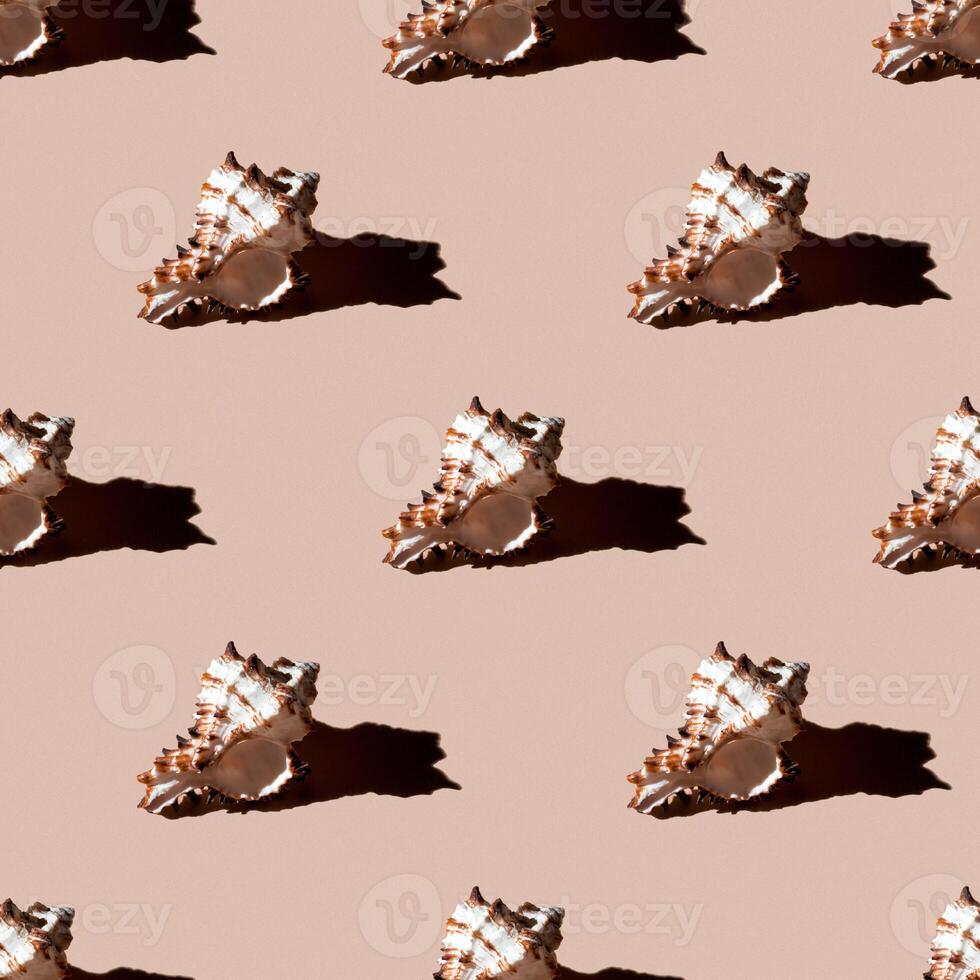 Seamless pattern of clam shells on a pastel orange background. photo