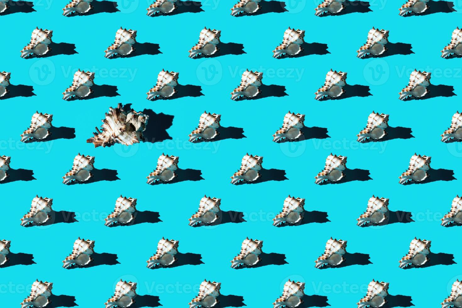Pattern of clam shells on a cyan background. photo