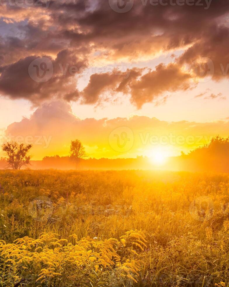 Sunrise on a field with wildflowers and cloudy sky. photo