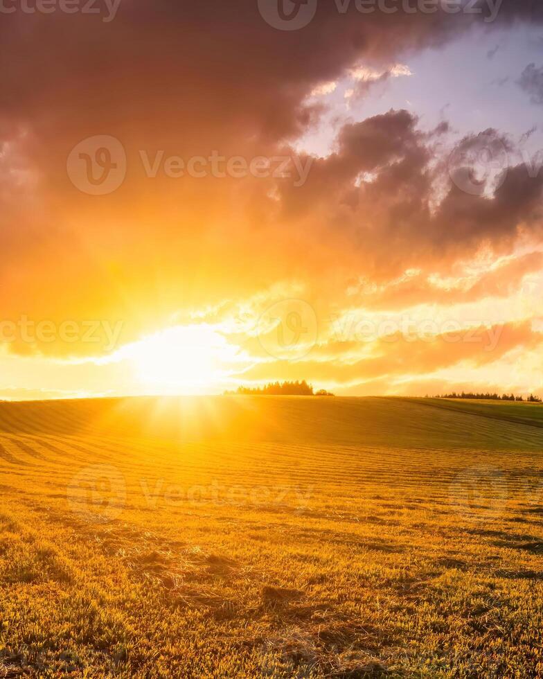 Sunset or sunrise at cultivated land in the countryside with cloudy sky. photo