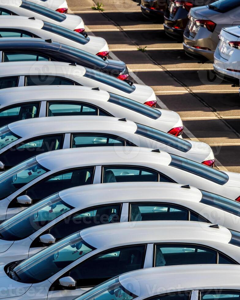 Rows of a new cars parked in a distribution center on a car factory on a sunny day. photo