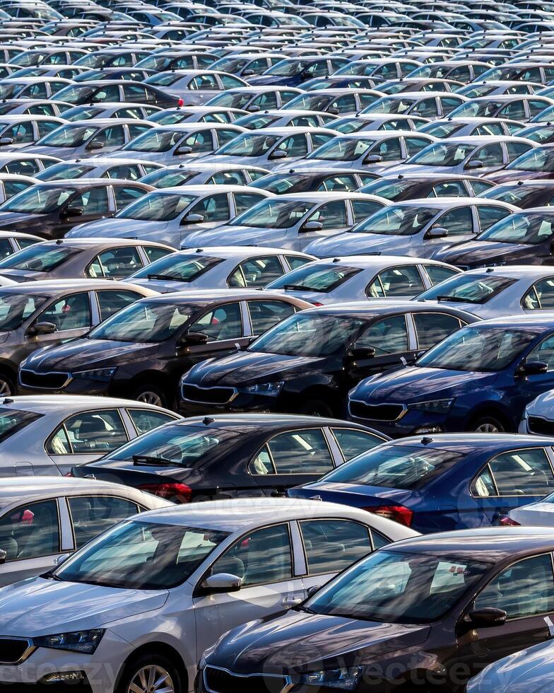 Rows of a new cars parked in a distribution center on a car factory on a sunny day. photo