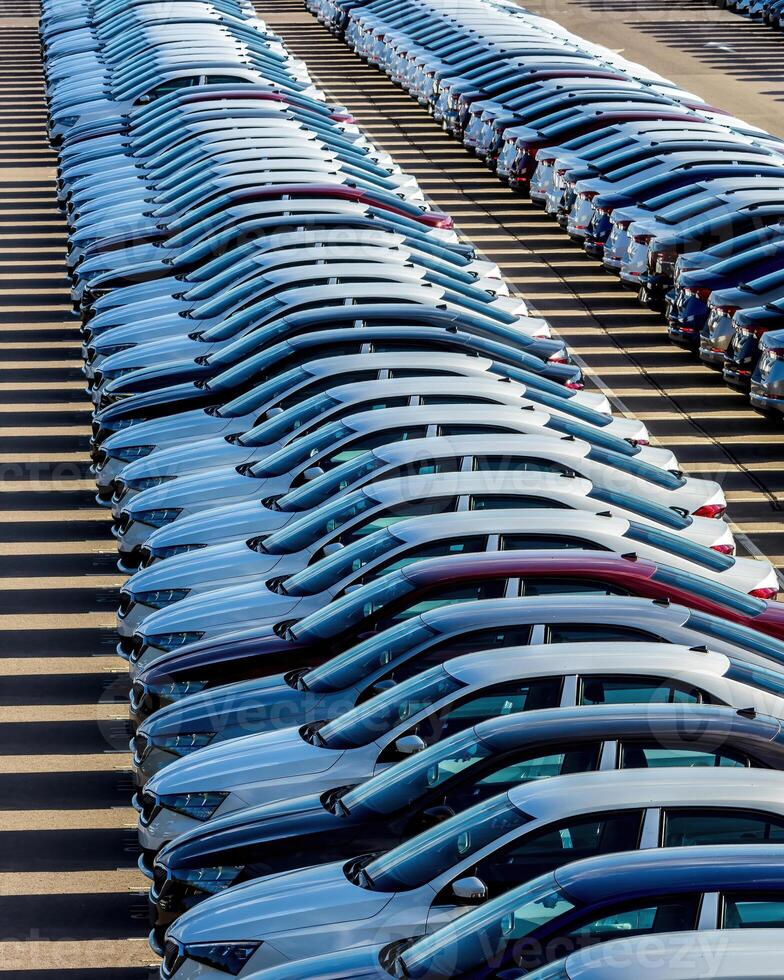 Rows of a new cars parked in a distribution center on a car factory on a sunny day. photo