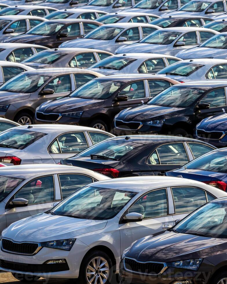 Rows of a new cars parked in a distribution center on a car factory on a sunny day. photo