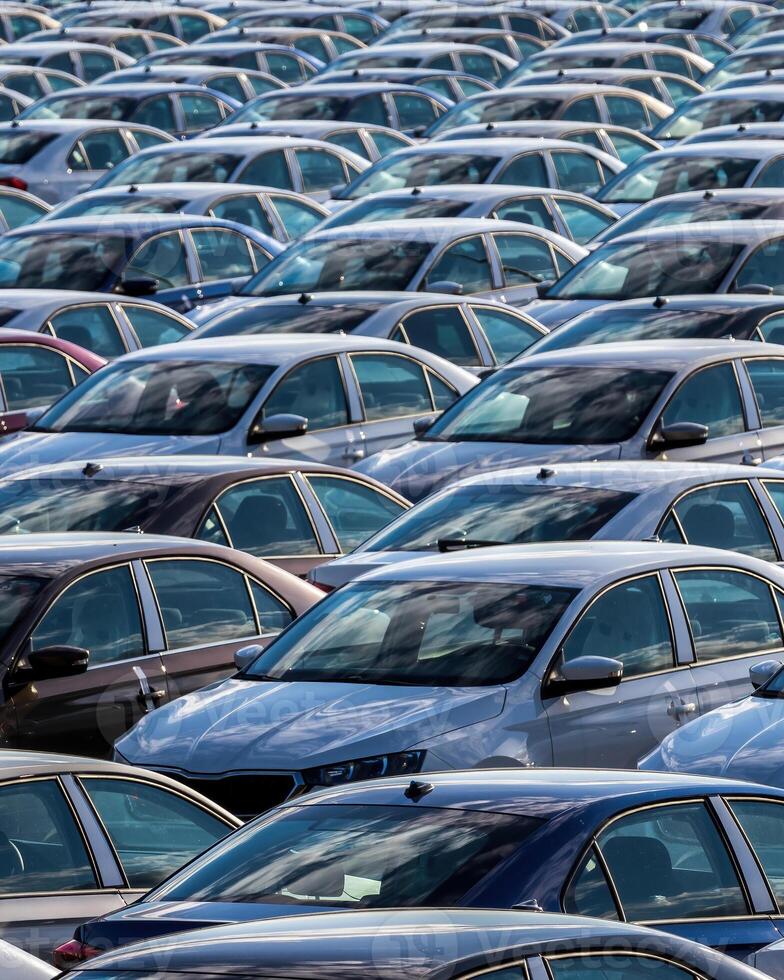 Rows of a new cars parked in a distribution center on a car factory on a sunny day. photo