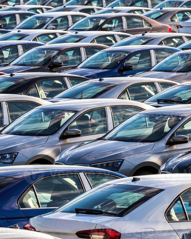 Rows of a new cars parked in a distribution center on a car factory on a sunny day. photo