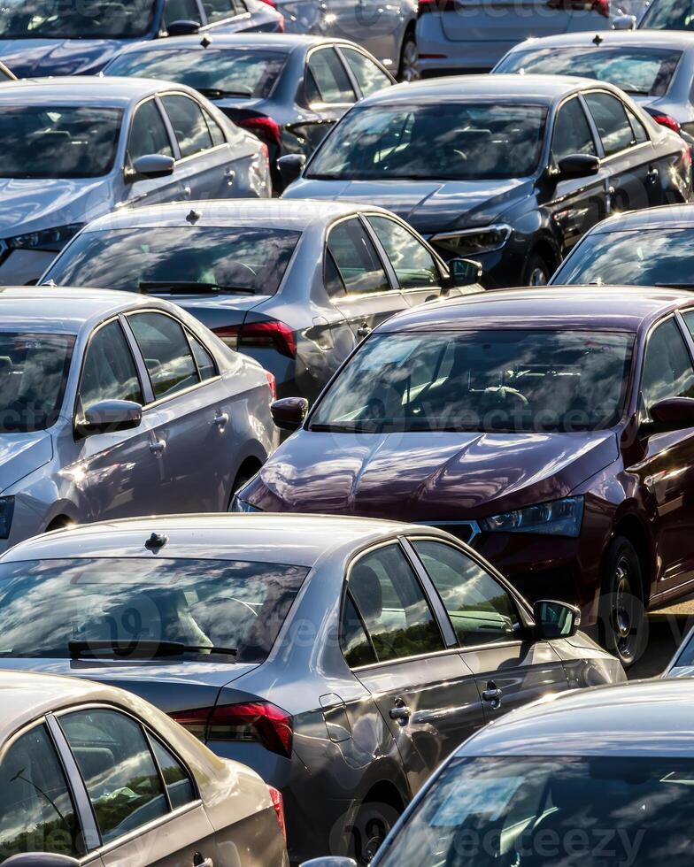 Rows of a new cars parked in a distribution center on a car factory on a sunny day. photo