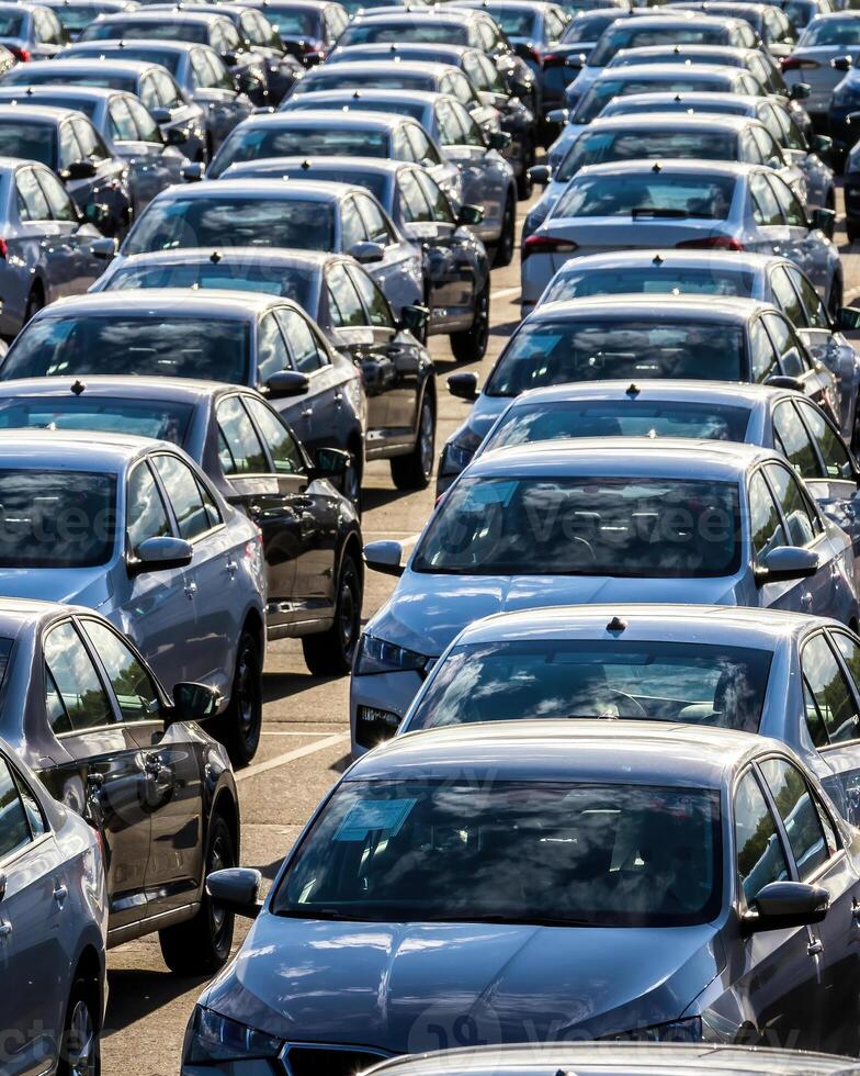 Rows of a new cars parked in a distribution center on a car factory on a sunny day. photo