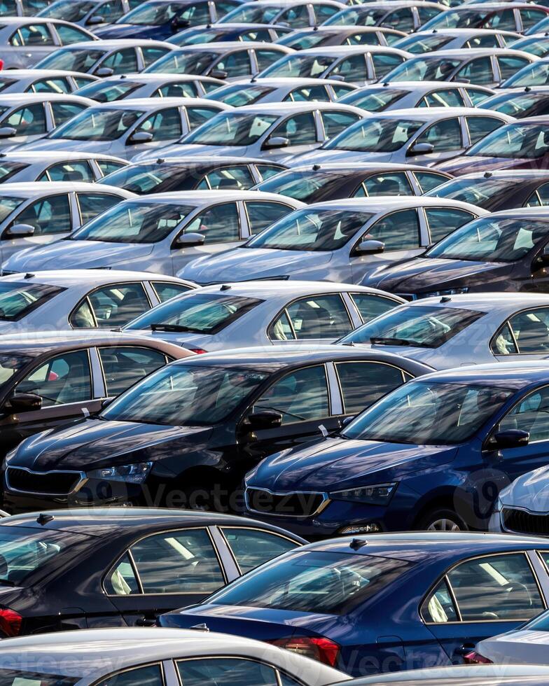 Rows of a new cars parked in a distribution center on a car factory on a sunny day. photo
