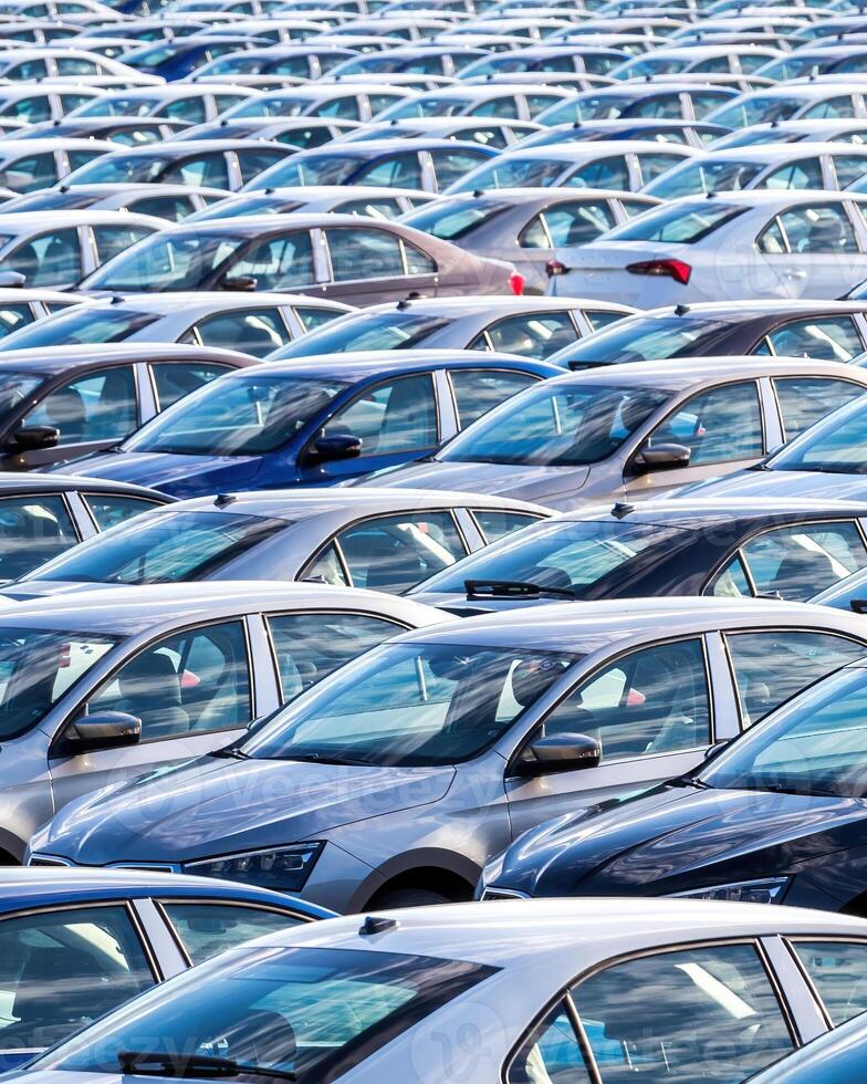 Rows of a new cars parked in a distribution center on a car factory on a sunny day. photo