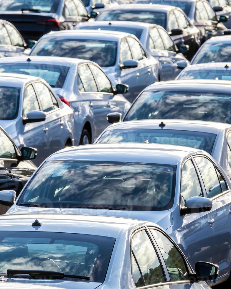 Rows of a new cars parked in a distribution center on a car factory on a sunny day. photo