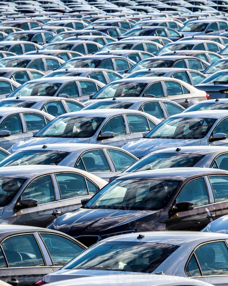 Rows of a new cars parked in a distribution center on a car factory on a sunny day. photo